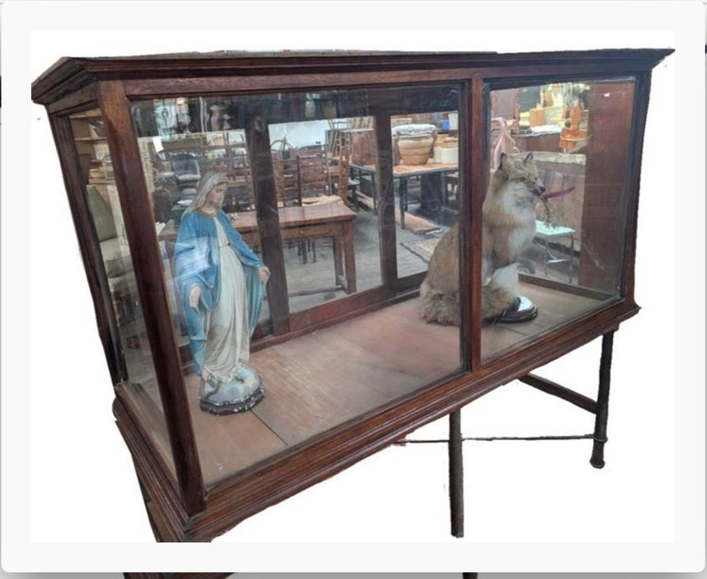 Zoo Display Cabinet