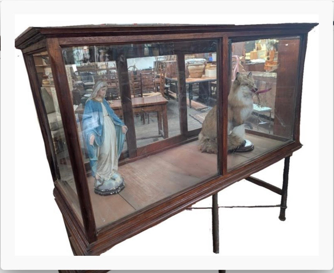 Zoo Display Cabinet
