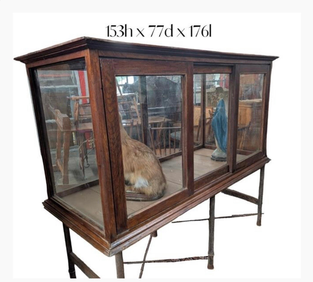 Zoo Display Cabinet